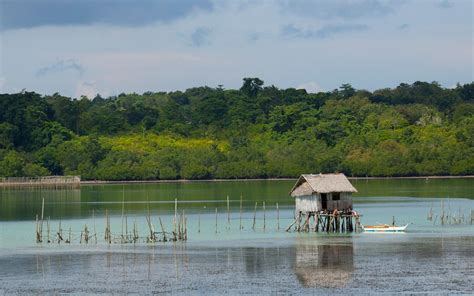 Hotels in Tagbilaran from $8 .